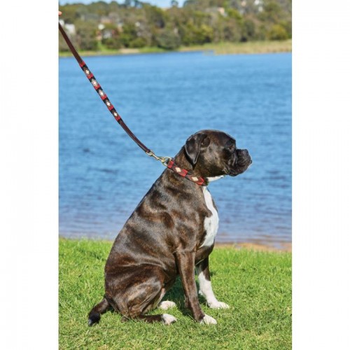 Weatherbeeta Polo Leather Dog Collar