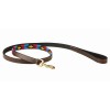 Weatherbeeta Polo Leather Dog Lead