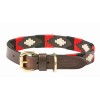 Weatherbeeta Polo Leather Dog Collar