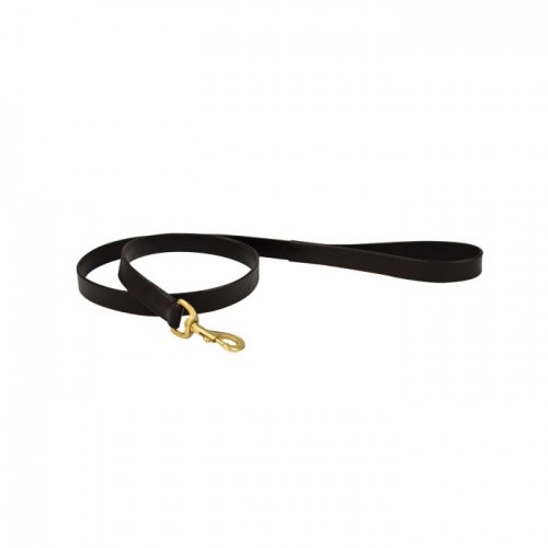 Weatherbeeta Leather Dog Lead