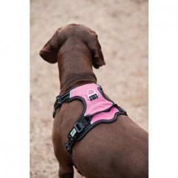 Weatherbeeta Anti Pull/Travel Harness