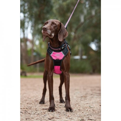 Weatherbeeta Anti Pull/Travel Harness