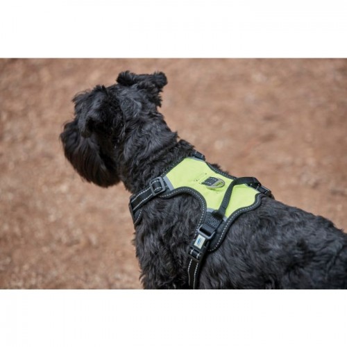 Weatherbeeta Anti Pull/Travel Harness