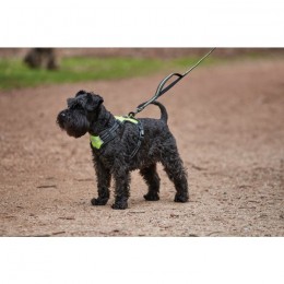Weatherbeeta Anti Pull/Travel Harness