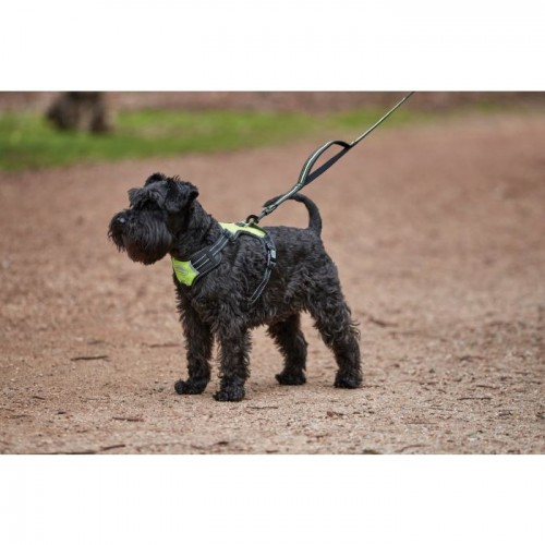 Weatherbeeta Anti Pull/Travel Harness