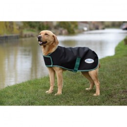 Weatherbeeta Green-Tec 900D Lite Plus Dog Coat