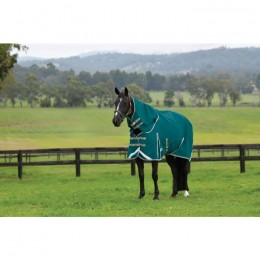 Weatherbeeta ComFiTec Plus Dynamic II Detach-a-Neck Lite 0g Teal Green