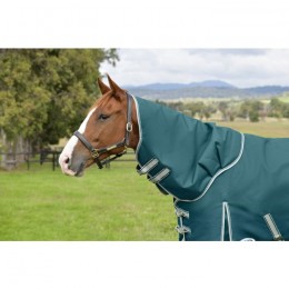 Weatherbeeta ComFiTec Plus Dynamic II Detach-a-Neck Lite 0g Teal Green