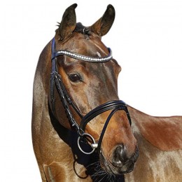 Euroriding bridle La Rochelle English combined noseband