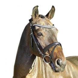 Euroriding bridle La Rochelle English combined noseband
