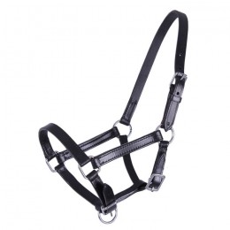 QHP Leather Foal Halter Chico