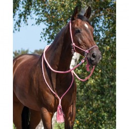 QHP Rope Halter combi Liberty