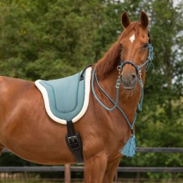 QHP SS25 Rope Halter Combi Liberty