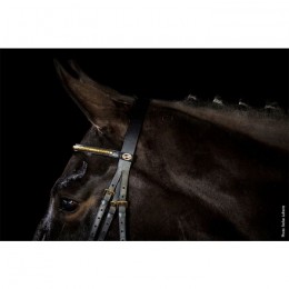 Schockemöhle Bridle Heidelberg