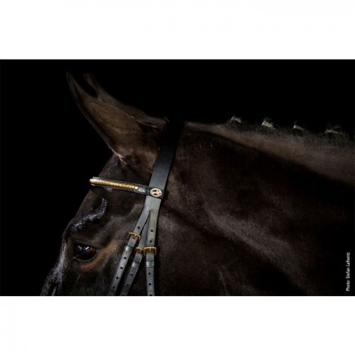 Schockemöhle Bridle Heidelberg