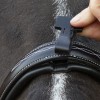 Schockemöhle Bridle Monza F