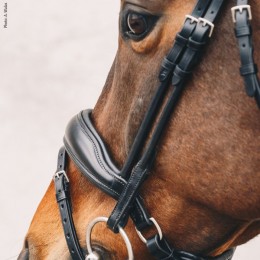 Schockemöhle Bridle malibu