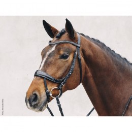 Schockemöhle Bridle Equitus BETA