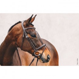 Schockemöhle Tokyo Select bridle