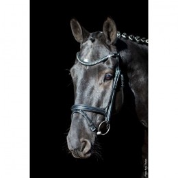 Schockemöhle Rome Select bridle