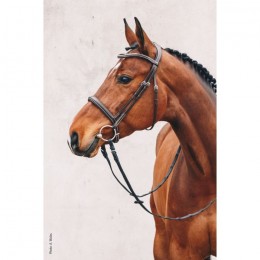 Schockemöhle Montreal Select bridle