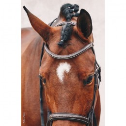 Schockemöhle Montreal Select bridle