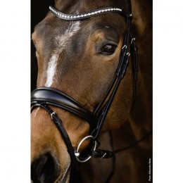 Schockemöhle Brantford Anatomical Bridle