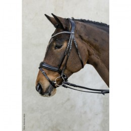 Schockemöhle Brantford Anatomical Bridle