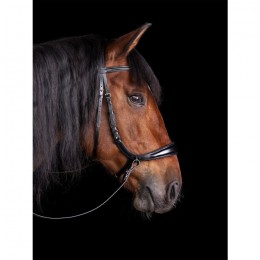 Schockemöhle 3-in-1 Bridle Equitus Theta