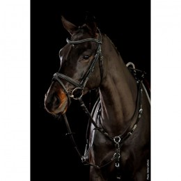 Schockemöhle Bridle Tokyo F Select