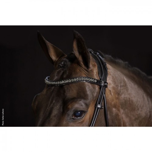 Schockemöhle Bridle Westminster