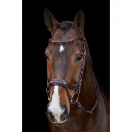 Schockemöhle Bridle Ancona Select