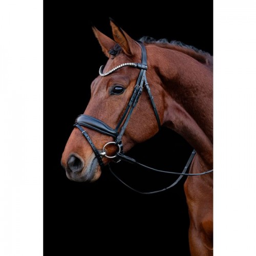 Schockemöhle Bridle Siena