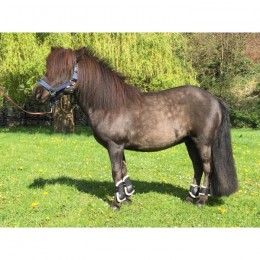 HB Leg Protection Set with Fur Shetland