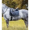 Waldhausen Saddle Pad Valencia