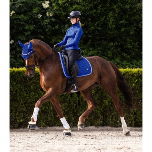 Waldhausen Fly Veil Basic