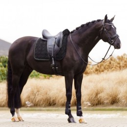 Imperial Riding FW'24 Saddle Pad IRHSimone DR