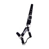 QHP Safety Halter Lined