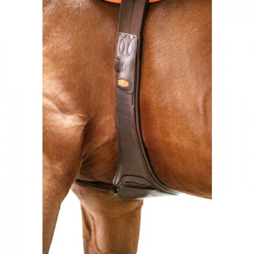 Schockemöhle Jumping Girth Portland