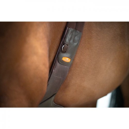 Schockemöhle Stud Girth Oklahoma