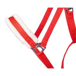 Q-essentials head collar Cali draft horse