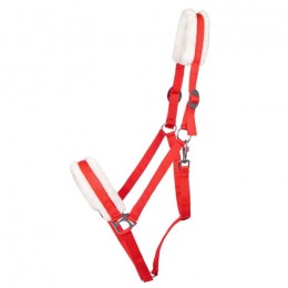 Q-essentials head collar Cali draft horse