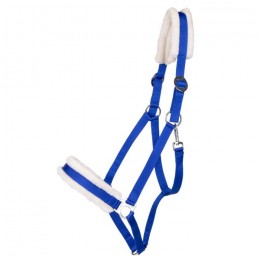 Q-essentials head collar Cali draft horse