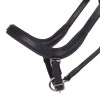 QHP Halter Salerno anatomic