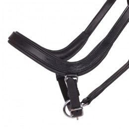 QHP Halter Salerno anatomic