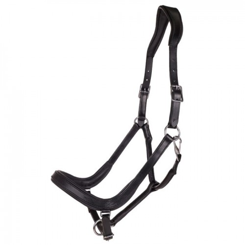 QHP Halter Salerno anatomic