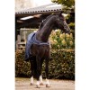 HB Showtime Walker Rug Navy