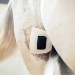 Rheva Extra Strong Kombo Wound Protection