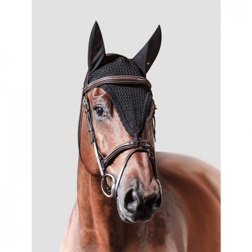 Equiline earnet with loop