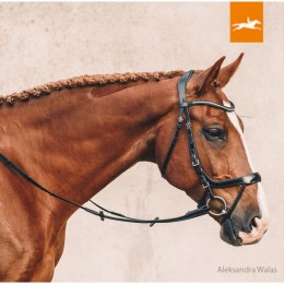 Schockemöhle Bridle Equitus Omega